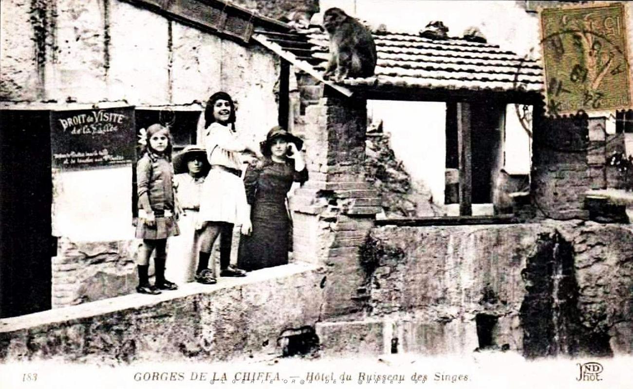 997- Blida - Gorges de la Chiffa - Hotel du Ruisseau des Singes.jpg